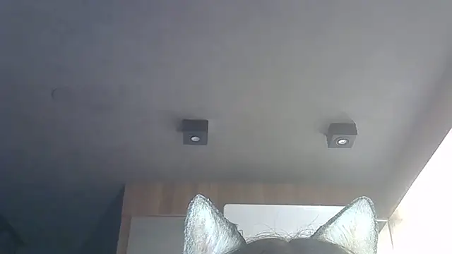 Skinny-Kitten online show from December 15, 2025, 1:44 am