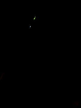 Snapshot of ManBlackhot chatting on January 20, 2025, 9:22 pm ManBlackhot online show from January 20, 2025, 9:22 pm