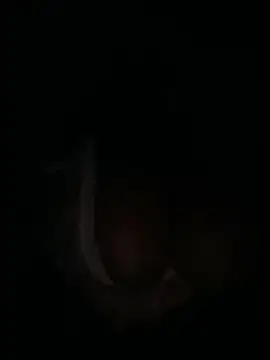 m yummyshish online show from April 1, 2026, 1:30 am