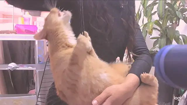 MYFAVOURITESTRAGER online show from March 10, 2026, 8:46 pm