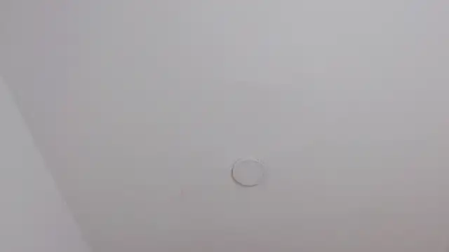 misslombana online show from October 18, 2025, 5:31 am