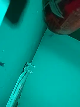  Scorpion  online show from September 8, 2025, 8:30 pm