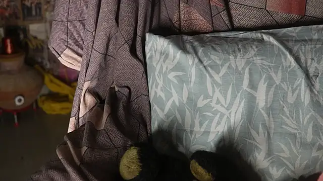 -AyeshaSinghania- online show from September 16, 2025, 5:03 pm