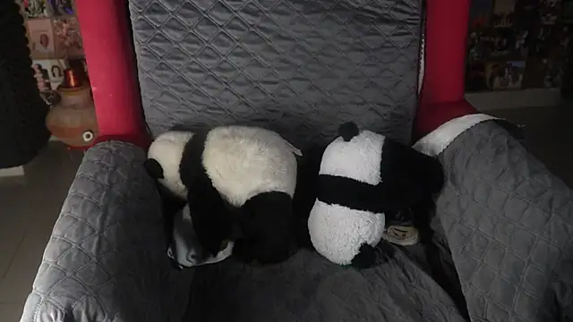 -AyeshaSinghania- online show from September 11, 2025, 12:05 pm