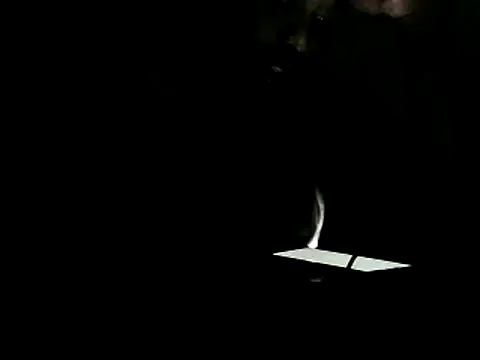 Yardie bone online show from February 27, 2025, 6:31 pm