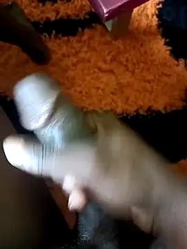 Snapshot of ElonDeking chatting on March 2, 2025, 12:25 pm ElonDeking online show from March 2, 2025, 12:25 pm