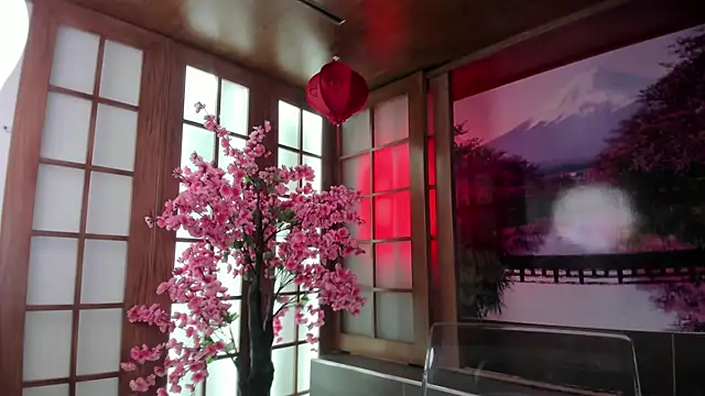 Snapshot of miiss_anna chatting on February 9, 2026, 11:52 am miiss anna online show from February 9, 2026, 11:52 am