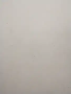 Shuttii 25 online show from January 31, 2025, 5:40 am