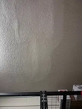 PeterGrandee online show from December 10, 2024, 8:27 pm