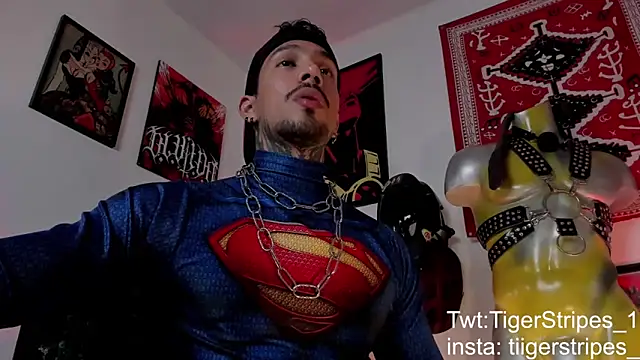 TigerStripes1  online show from March 21, 2026, 4:57 am