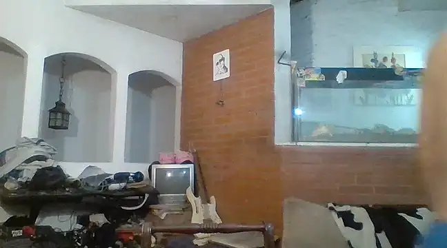 Stevenson988 online show from February 15, 2025, 12:26 am