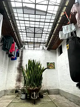 oliver price1 online show from September 21, 2025, 4:01 pm