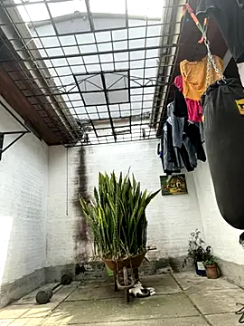 oliver price1 online show from September 25, 2025, 6:36 pm