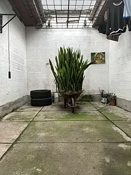 oliver price1 online show from November 13, 2025, 9:19 pm