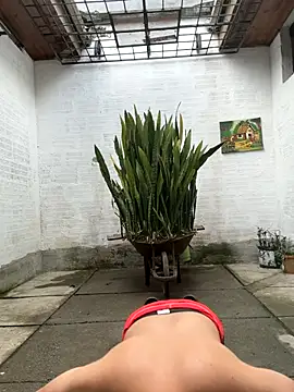 oliver price1 online show from October 17, 2025, 8:21 pm