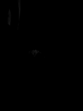 Bernardo085 online show from April 12, 2026, 4:16 am